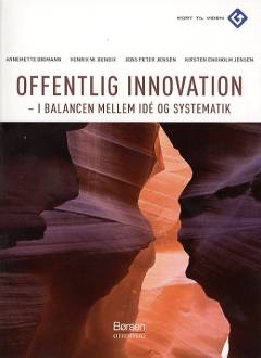 Offentlig innovation : i balancen mellem idé og systematik