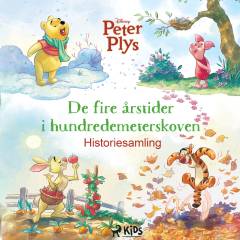 De fire årstider i Hundredemeterskoven : historiesamling