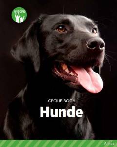 Hunde : et kæledyr