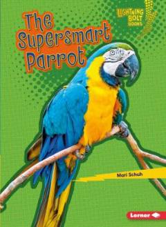The Supersmart Parrot