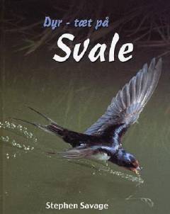 Svale