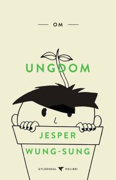 Om ungdom