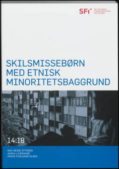 Skilsmissebørn med etnisk minoritetsbaggrund