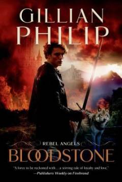 Bog, 1. edition, 2013