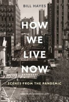 How we live now : scenes from the pandemic