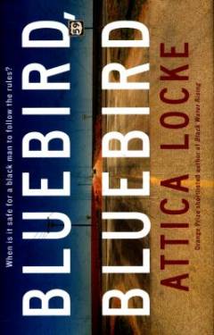 Bluebird bluebird : a novel