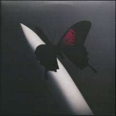 Twelve carat toothache