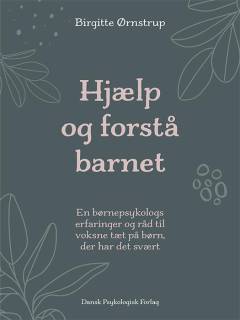 Hjælp og forstå barnet : en børnepsykologs erfaringer og råd til voksne tæt på børn, der har det svært