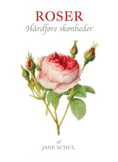 Bog, 1. udgave, 2012