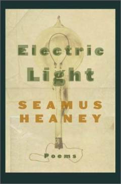 Electric light