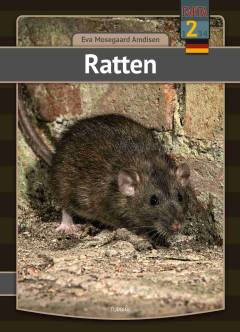 Bog, 2021