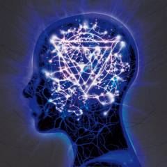 The mindsweep