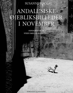 Andalusiske øjebliksbilleder i november