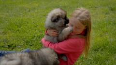 Josefines bondegård. Afsnit 5 : Hundehvalpen