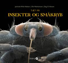 Tæt på insekter og småkryb