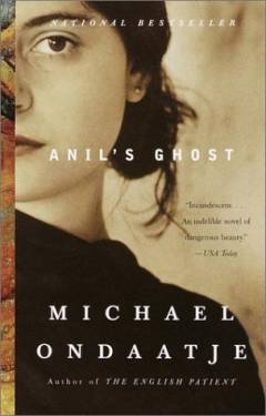 Anil's ghost