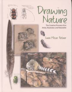 Drawing nature : the creative process of an artist, illustrator, and naturalist