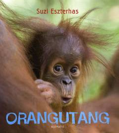 Orangutang