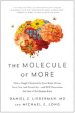 The molecule of more : how a single chemical in your brain drives love, sex, and creativity - and will determine the fate of the human race
