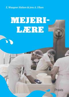Mejerilære. Bind 1