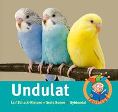 Undulat
