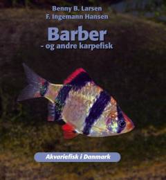 Barber - og andre karpefisk