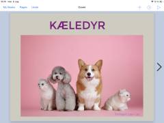 Kæledyr
