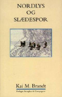 Nordlys og slædespor