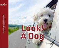 Look! A dog