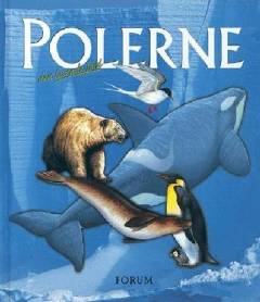 Polerne