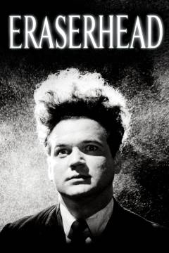 Film (online), 2022