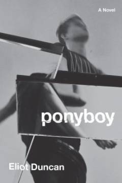 Ponyboy : a novel