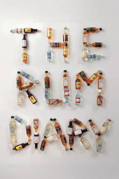 The rum diary