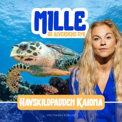 Havskildpadden Kaiomi