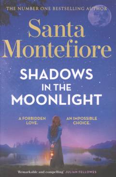 Shadows in the moonlight