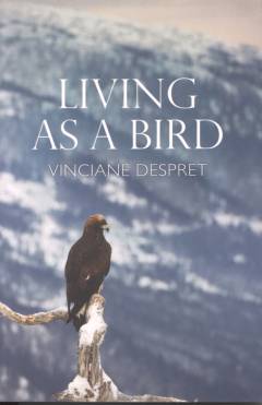 Living as a bird