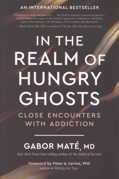 In the realm of hungry ghosts : close encounters with addiction