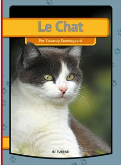 Le chat