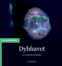 Dybhavet