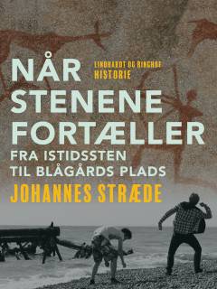 Når stenene fortæller : fra istidssten til Blågårds Plads