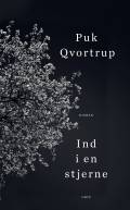 Ind i en stjerne