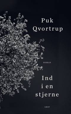 Ind i en stjerne