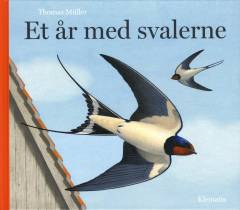 Et år med svalerne