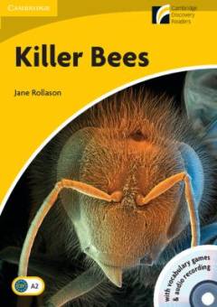 Killer bees
