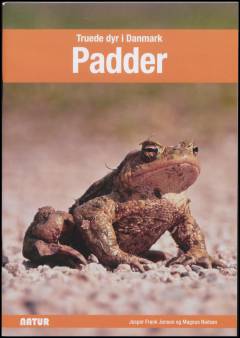 Padder (Letlæsning)