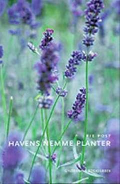 Havens nemme planter