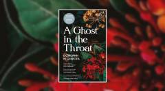 A ghost in the throat