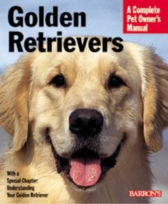 Golden Retrievers : everything about purchase, care, nutrition and behavior