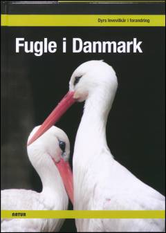 Fugle i Danmark
