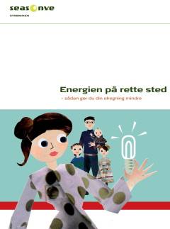 Energien på rette sted : sådan gør du din elregning mindre